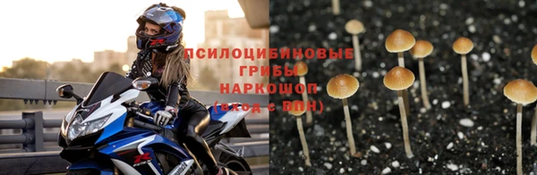 spice Горнозаводск