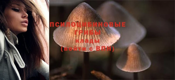 таблы Горняк