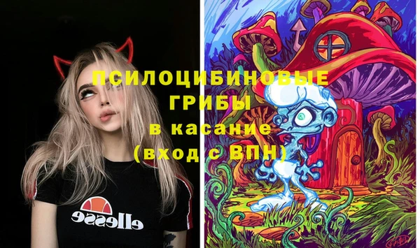 spice Горнозаводск