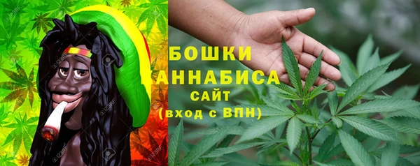 spice Горнозаводск