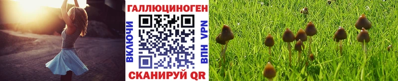 Галлюциногенные грибы Cubensis  Урень 
