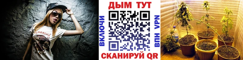 гидра как зайти  Урень  Бошки Шишки марихуана  купить наркоту 